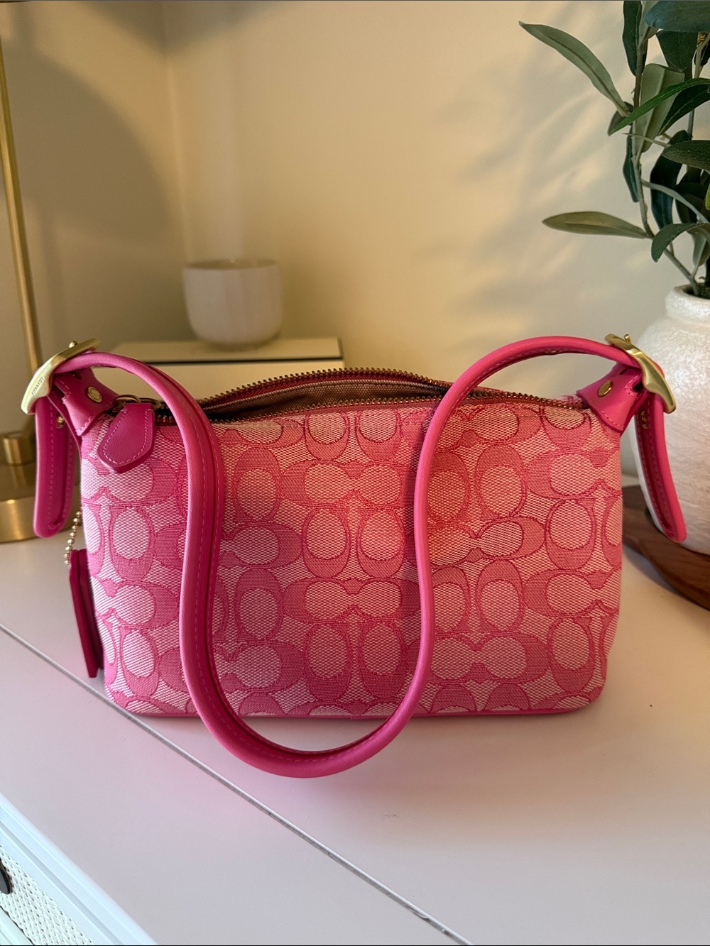 Coach Demi Bag (limited re-edition 2003)